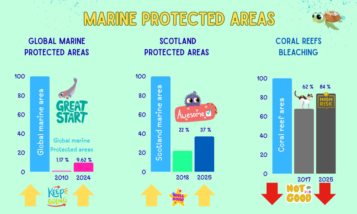 Ocean Protection⬆️ Coral Reefs⬇️